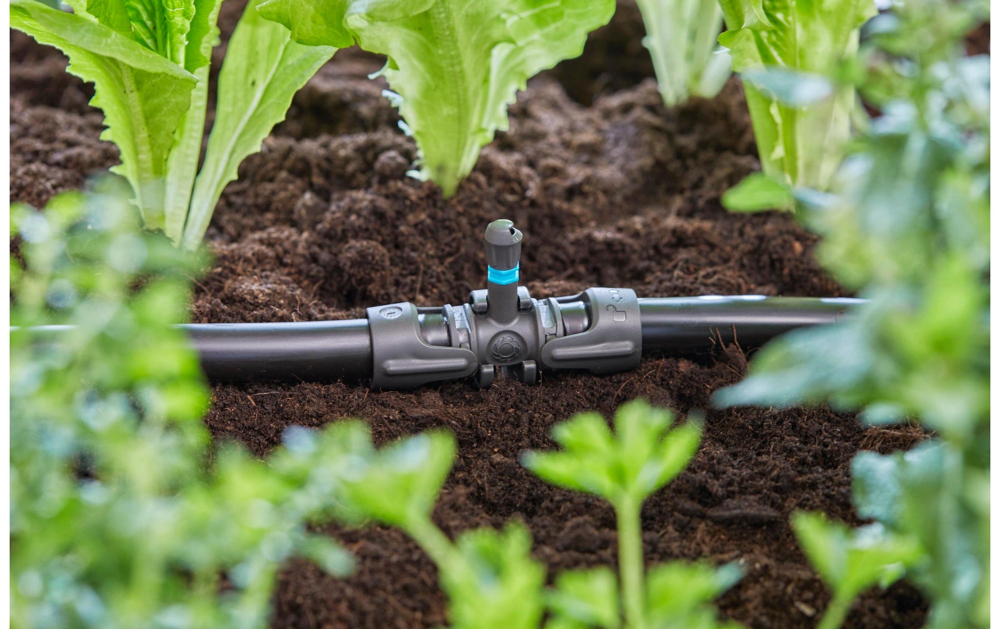 Gardena Micro-Drip-System Knotenverbinder – 13 mm, Kunststoff, schwarz, für Tropfbewässerungssystem