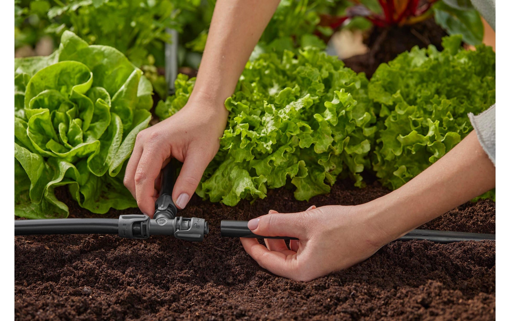 Gardena T-Stück – Ø 13 × 88 mm, Kunststoff, schwarz, für Micro-Drip-System