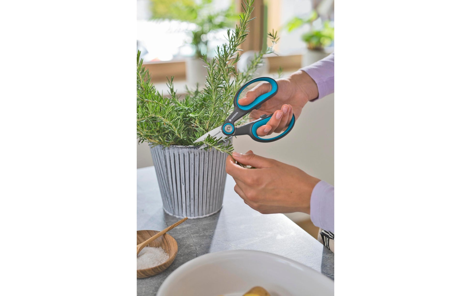 Gardena HerbCut – Astschere, Schnittbreite 52 mm, Klinge aus Edelstahl, Kunststoffgriff, grün