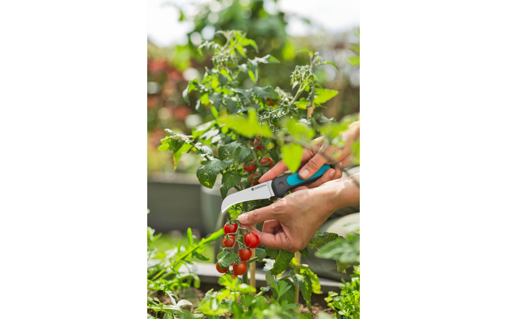 Gardena VeggieCut – Astschere 84 mm, Kunststoff, Schwarz, Grün, 1 Stk.