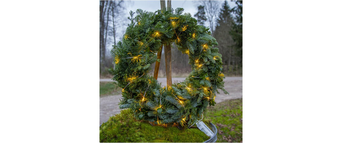 Star Trading Lichterkette – 96 LEDs – Warmweiss – IP44 – Batteriebetrieb – Timer 6/18 h – Transparent, PVC