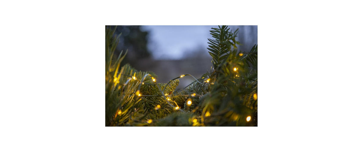 Star Trading Lichterkette – 7,7 m – 0,4 W – Warmweiss – IP44 – Batteriebetrieb – Timer 6/18 h, Grün, PVC
