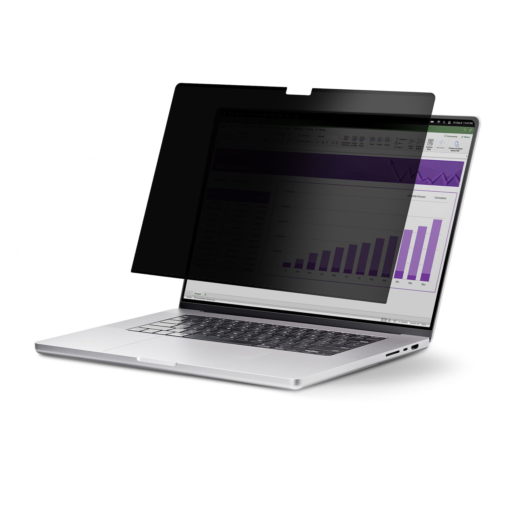 StarTech.com Displayschutz für Apple MacBook 15"