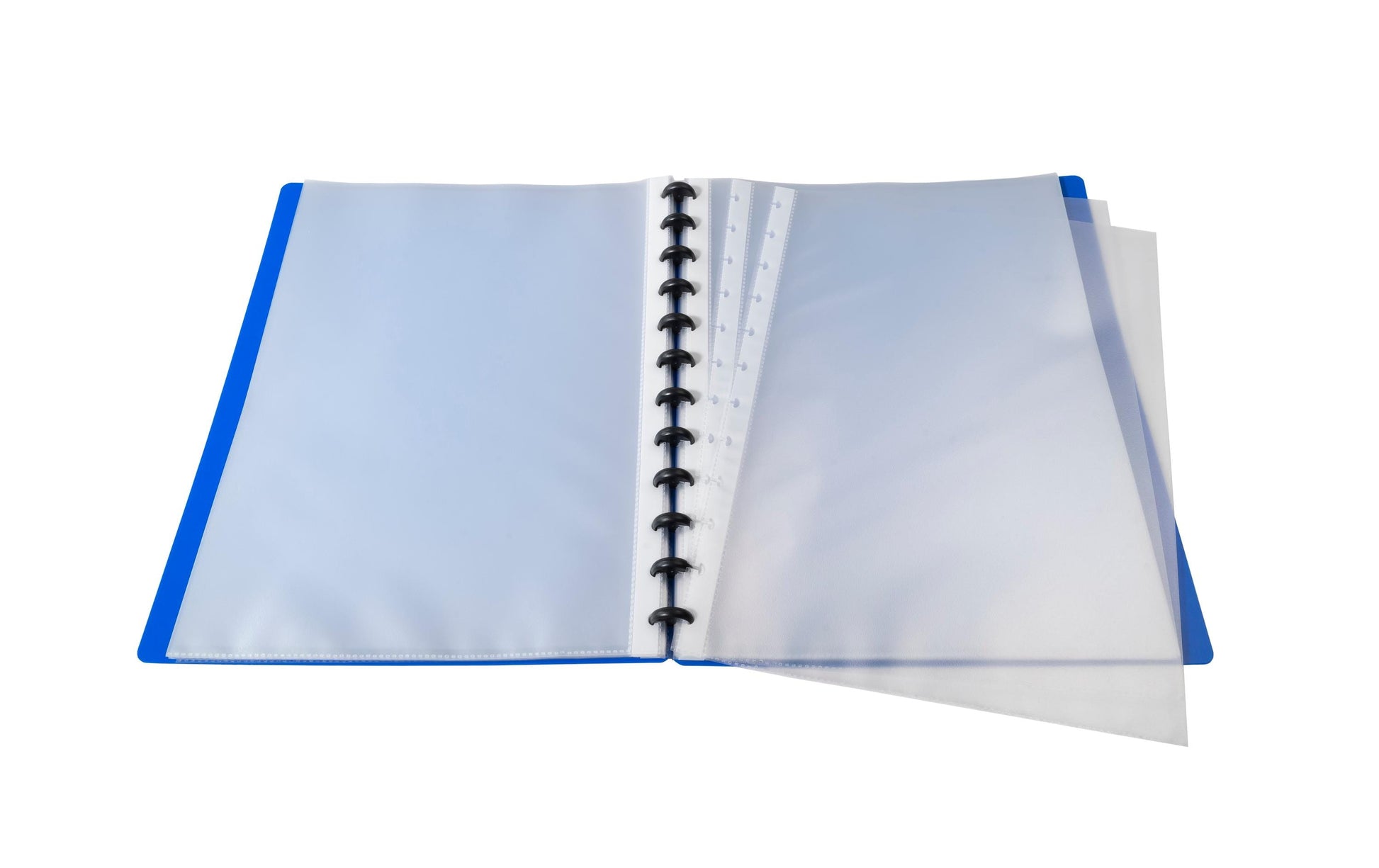 Exacompta 86362E Sichtmappe A4 – transparent, Polypropylen