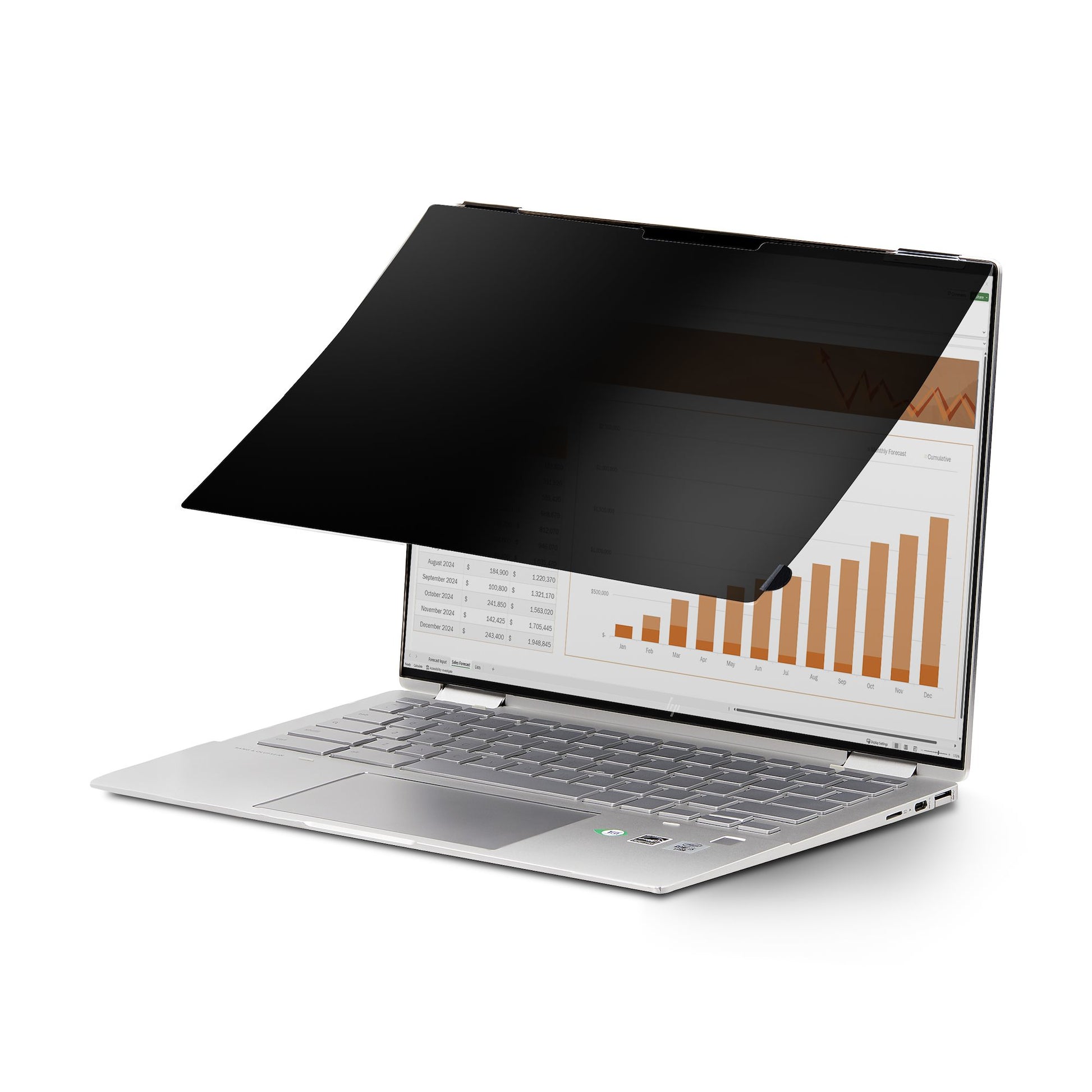StarTech.com Displayschutz für 13,5" Laptop