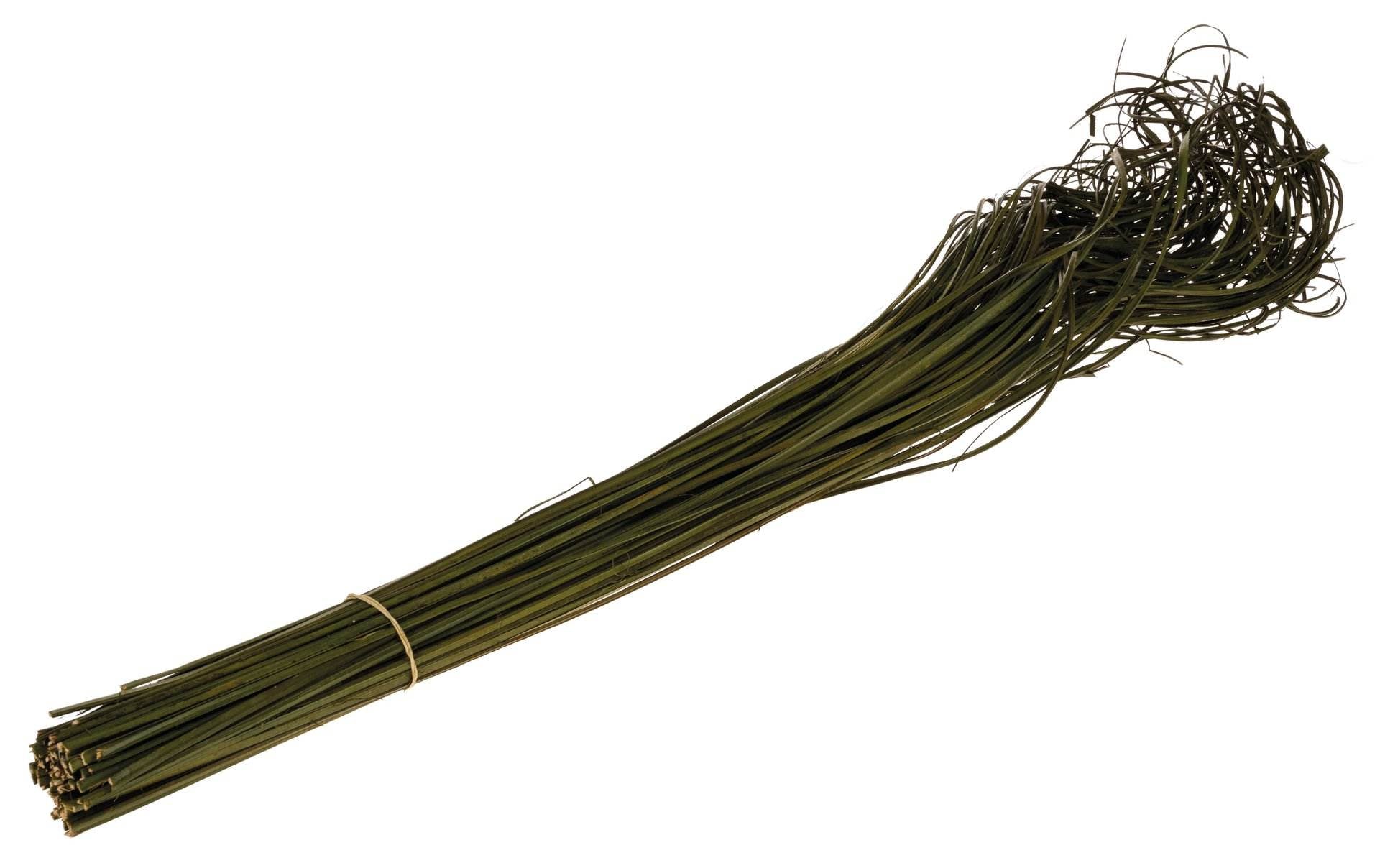 Opiflor Naturmaterialien, Rattan, Grün, 70 cm, 1 Stk., 211026