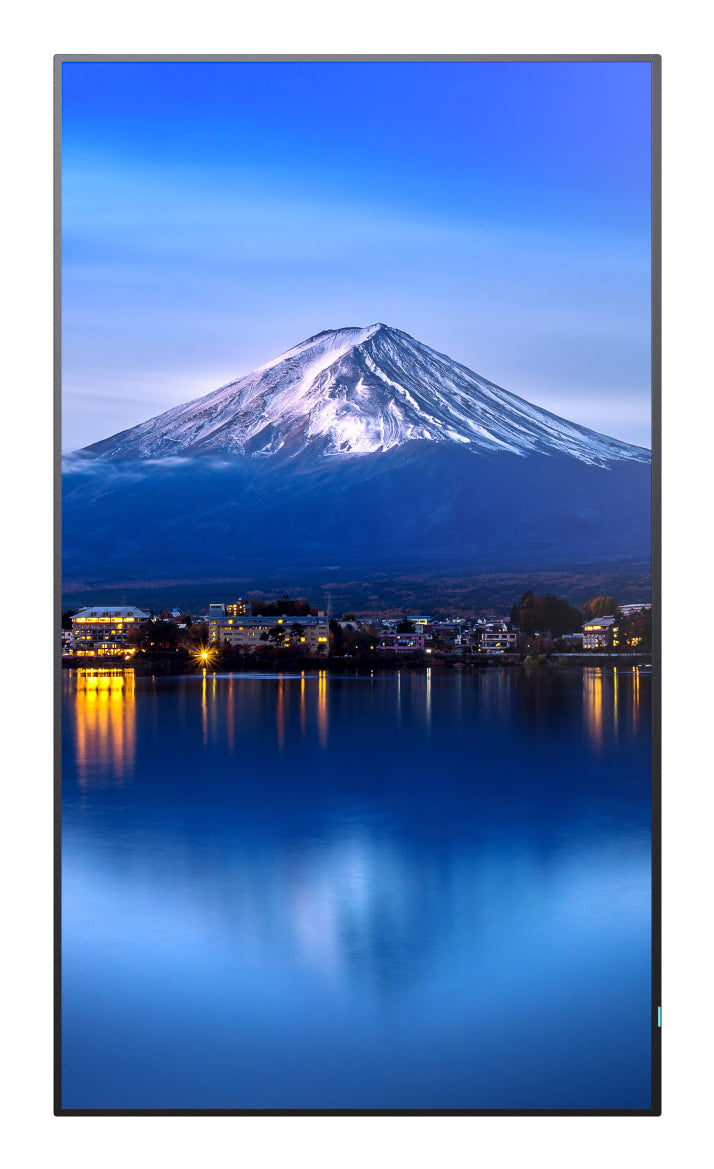 Sharp MultiSync P656 – 64,5", 3840 × 2160 (4K), IPS, USB-C 65 W, LAN