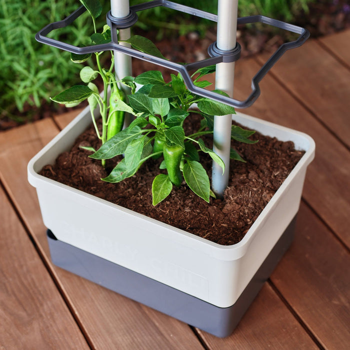 Gusta Garden Topfpflanzer – 20000 ml, automatische Bewässerung – Kunststoff, Dunkelblau