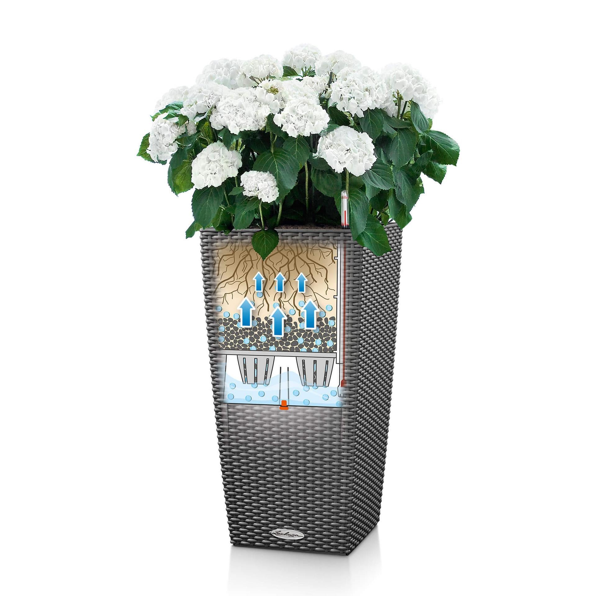 LECHUZA Pflanzgefäss – 31 l, 39,5 × 75,5 × 39,5 cm – Kunststoff, Graphit