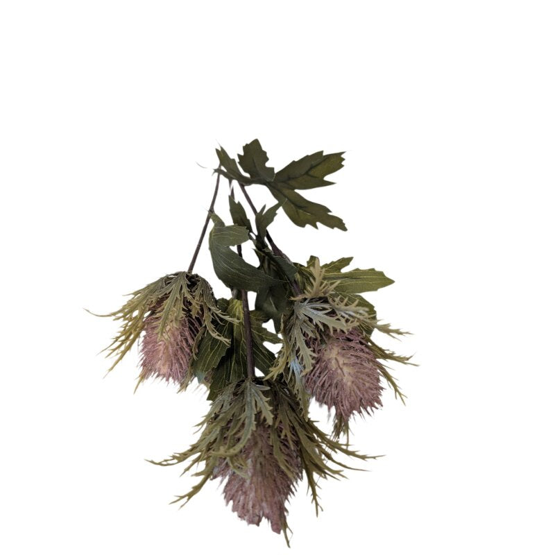 CHALET Trockenblumen Distel – rosa – 54 cm