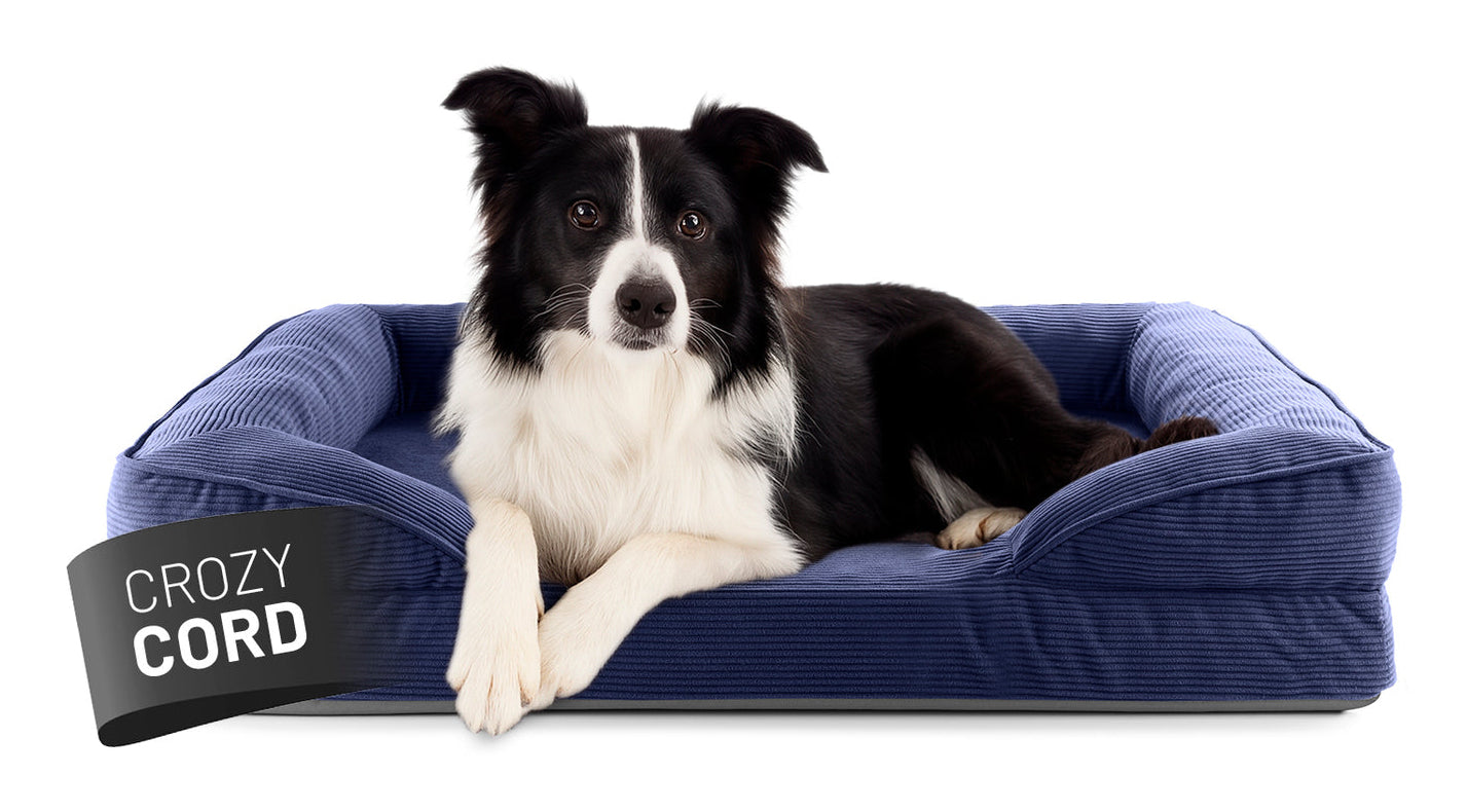 Lumaland Indoor Cord M Hundebett – 65 × 90 × 18 cm, Polyester, dunkelblau