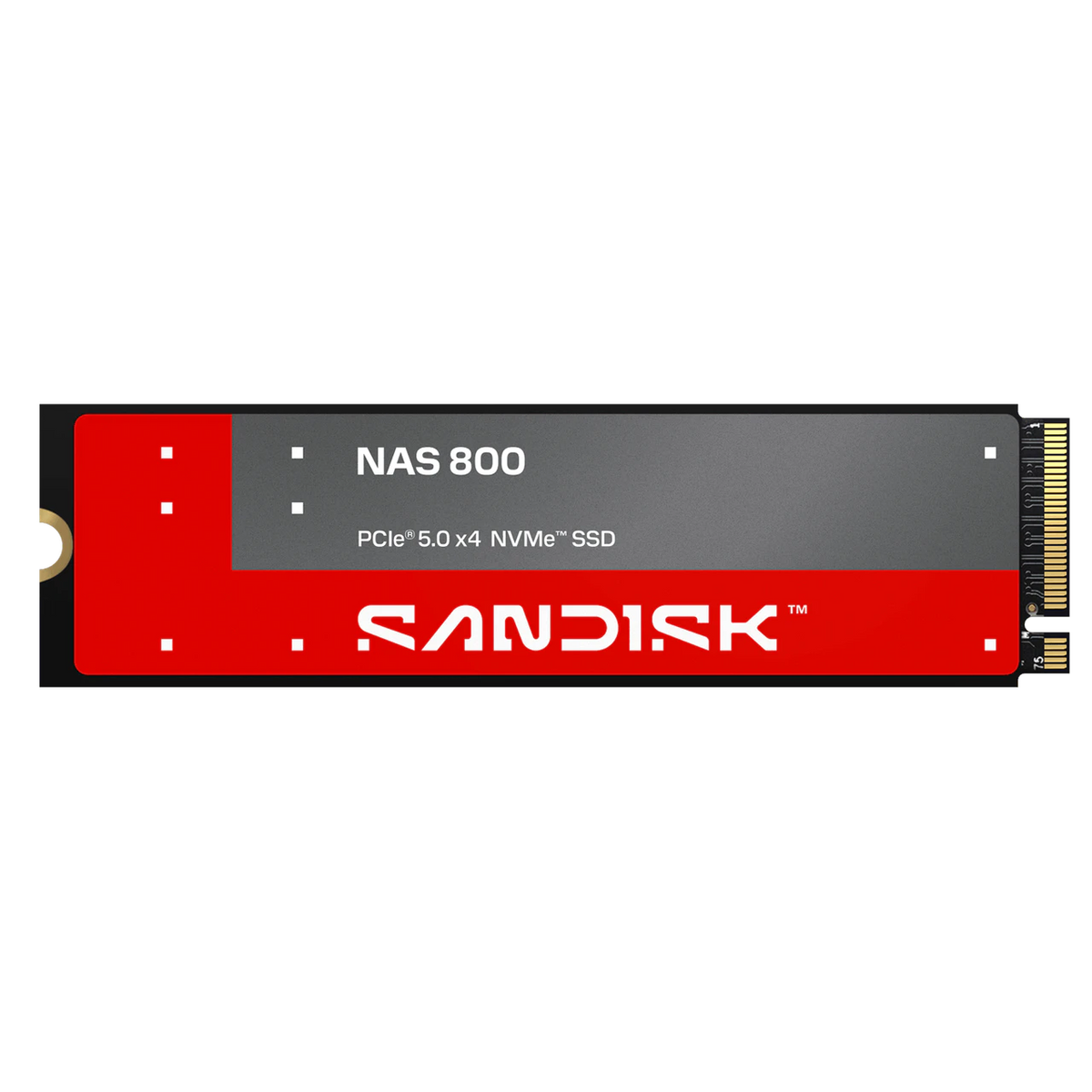 SanDisk NAS 800 3,84 TB – NVMe SSD, PCIe 5.0 x4