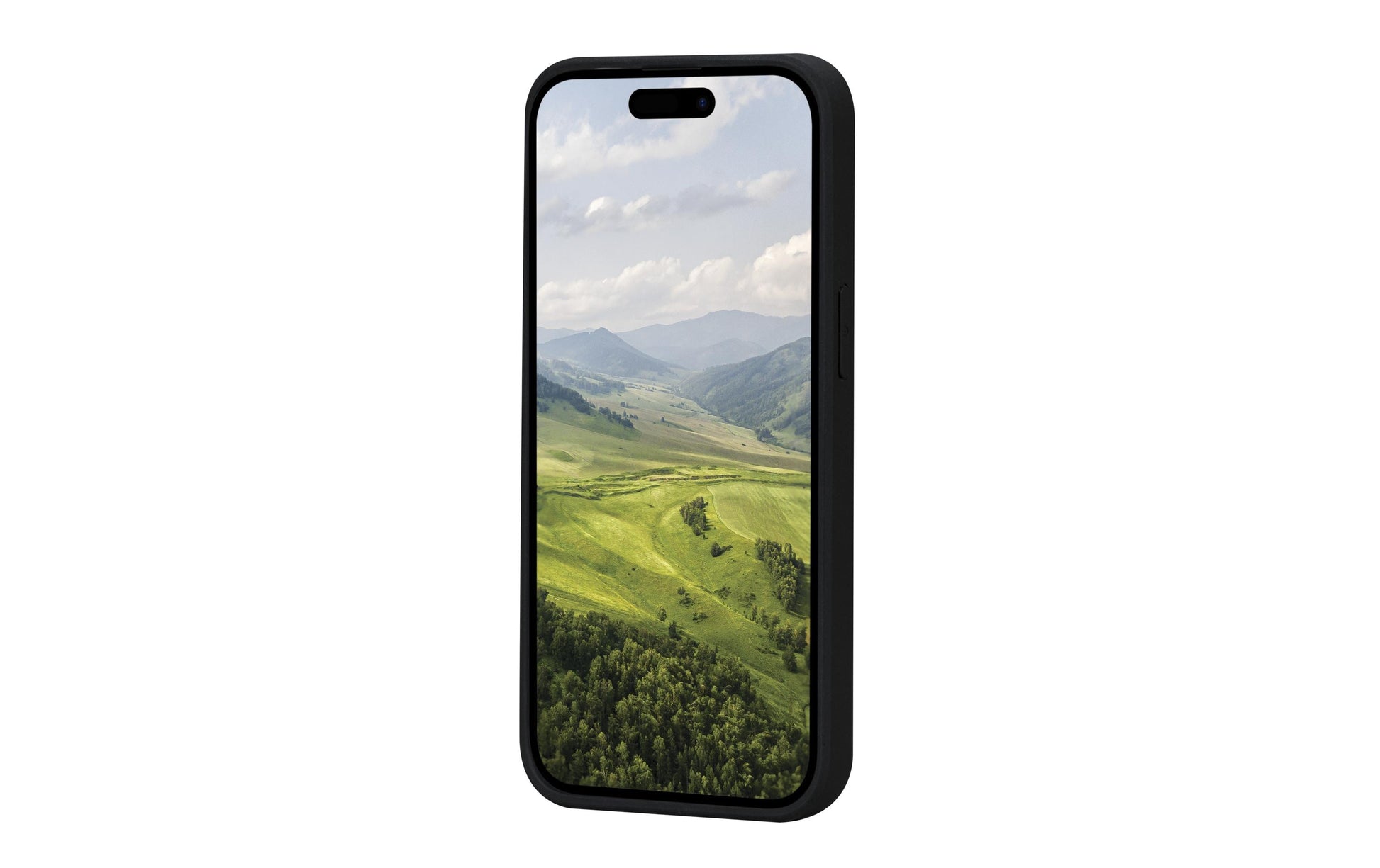 dbramante1928 Greenland Backcover – für Apple iPhone 15 Pro, Kunststoff, Schwarz