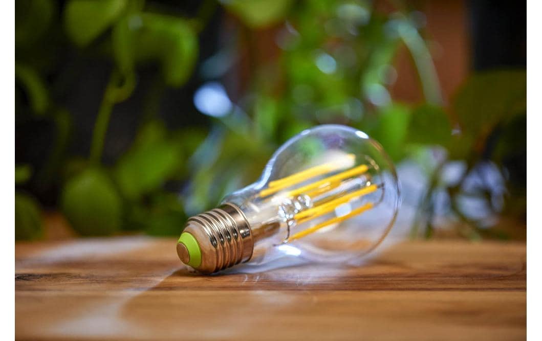 Philips by Signify Philips LED-Leuchtmittel E27 A-Form – Warmweiss 2700 K, 840 lm, 4 W – 2 Stk., Mattglas