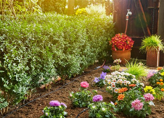 Gardena Start-Set (Micro-Drip-System) – Schlauch 15 m, Schwarz, für Pflanzreihen S