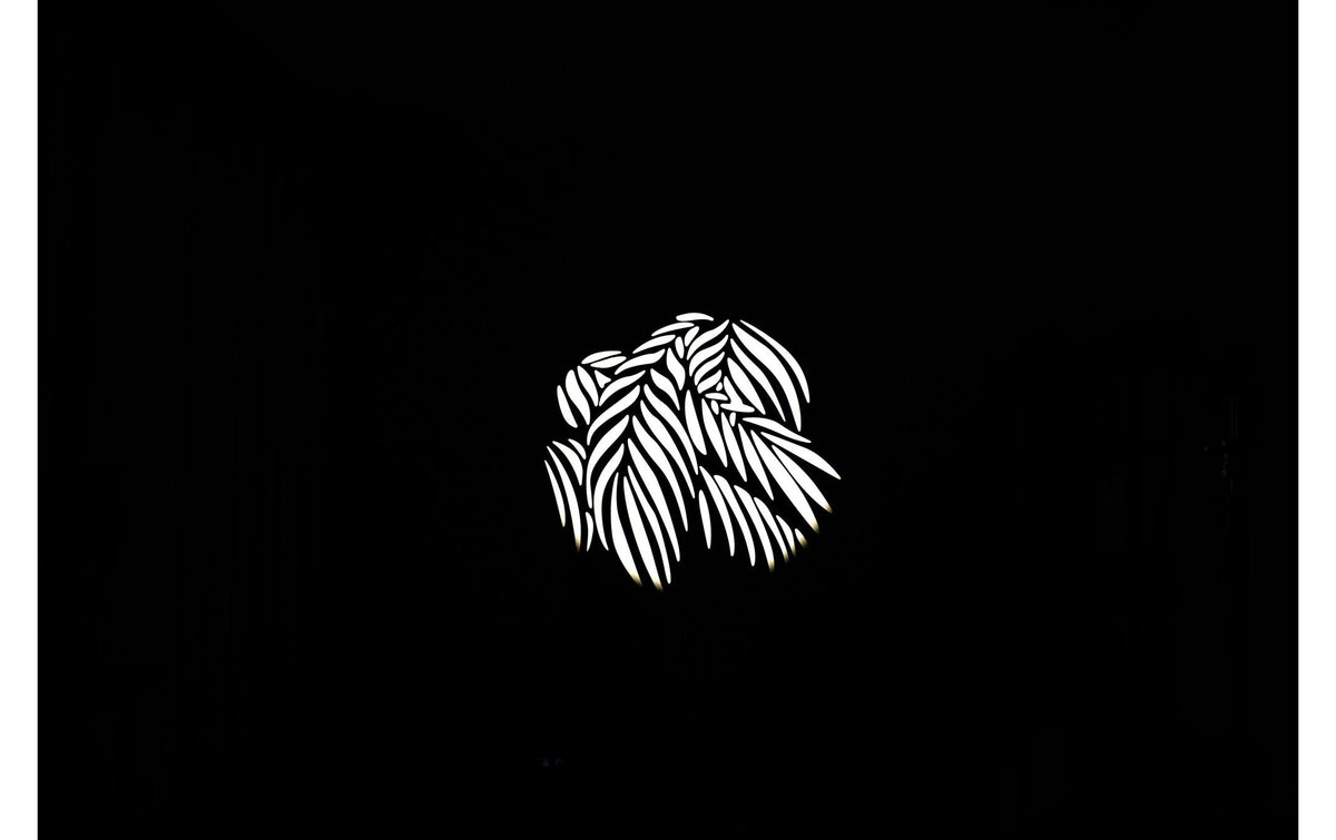 Nanlite AS-GB-FMM-SET2 Gobo-Set (Projektionsaufsatz) – 95 × 180 × 10 mm – für Nanlite Forza 60/60B – 10er-Pack