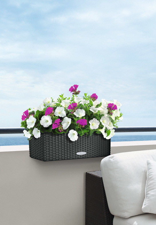 LECHUZA Balconera Cottage 50 Pflanzgefäss – 50 × 19 × 19 cm – Polypropylen (PP), braun