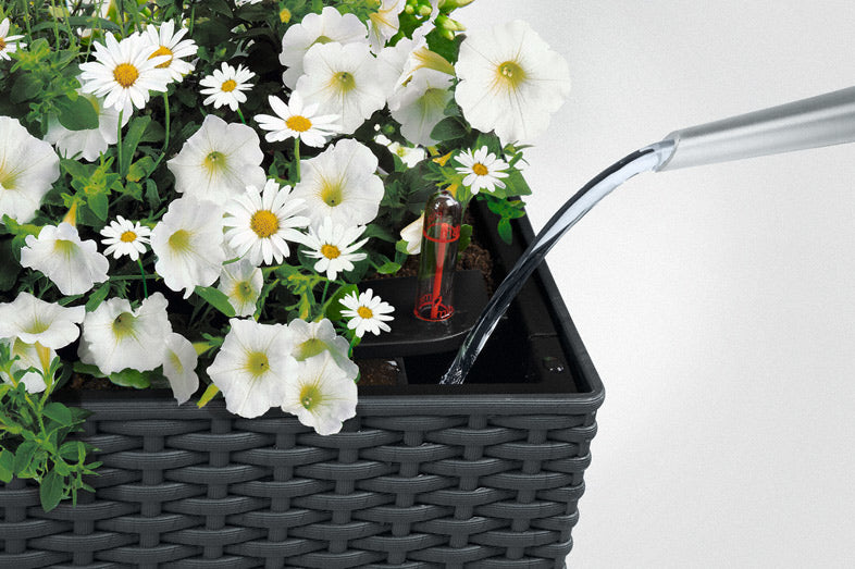 LECHUZA Pflanzgefäss – zur Wandmontage – 79 × 19 × 19 cm, 12000 ml – Polypropylen (PP), braun