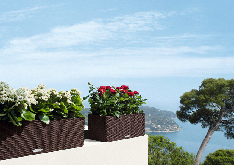 LECHUZA Balconera Cottage 50 Pflanzgefäss – 50 × 19 × 19 cm – Polypropylen (PP), braun
