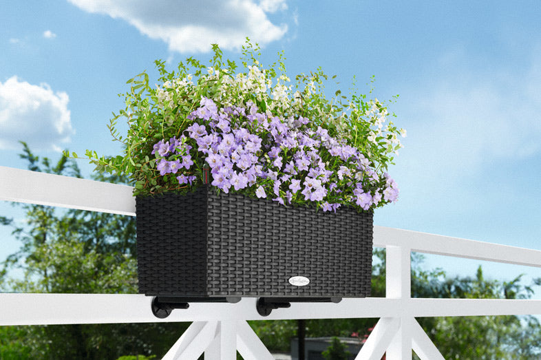 LECHUZA Balconera Cottage 50 Pflanzgefäss – 50 × 19 × 19 cm – Polypropylen (PP), braun