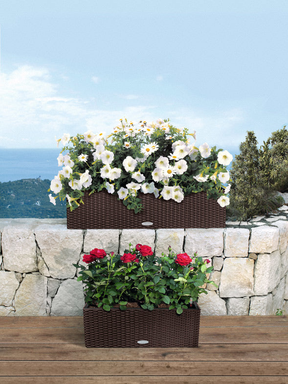 LECHUZA Balconera Cottage 50 Pflanzgefäss – 50 × 19 × 19 cm, 8 l, wandmontiert – Kunststoff, weiss