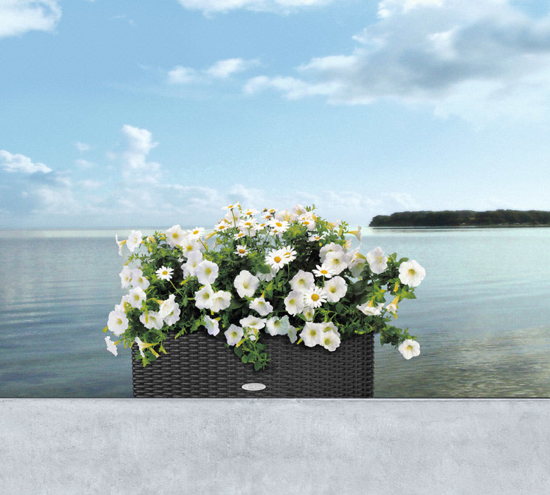 LECHUZA Balconera Cottage 50 Pflanzgefäss – 50 × 19 × 19 cm, 8 l, wandmontiert – Kunststoff, weiss