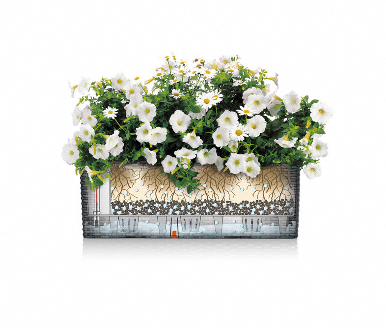 LECHUZA Balconera Cottage 50 Pflanzgefäss – 50 × 19 × 19 cm – Polypropylen (PP), braun