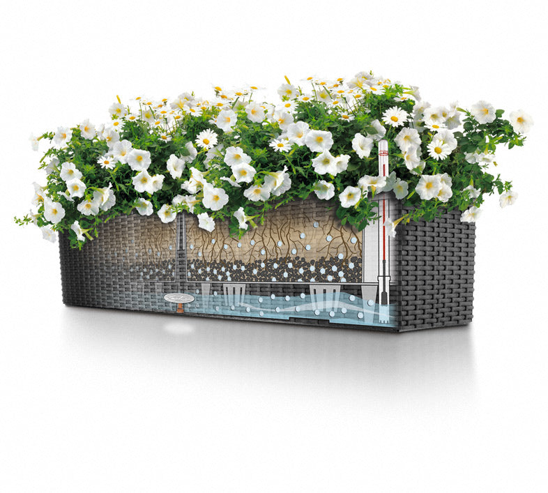 LECHUZA Pflanzgefäss – zur Wandmontage – 79 × 19 × 19 cm, 12000 ml – Polypropylen (PP), braun