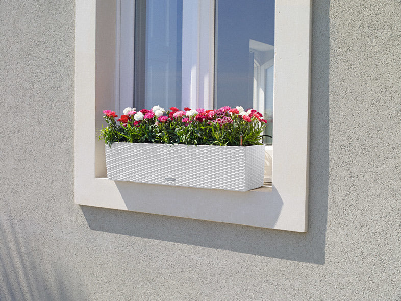 LECHUZA Pflanzgefäss – zur Wandmontage, 79 × 19 × 19 cm – Kunststoff, grau
