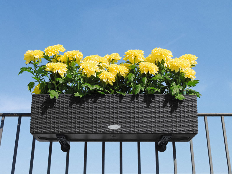 LECHUZA Balconera Cottage 80 Pflanzgefäss – 79 × 19 × 19 cm – Kunststoff, weiss