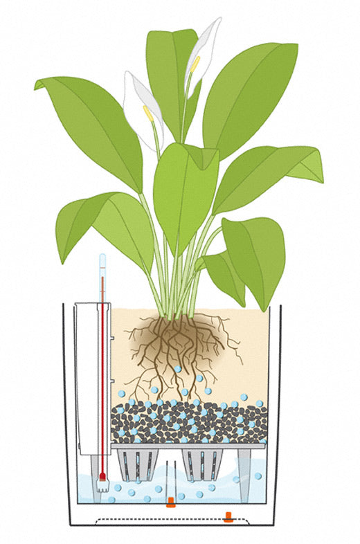 LECHUZA Topfpflanzer – 30 × 30 × 30 cm – Kunststoff, Braun, 1 Stück