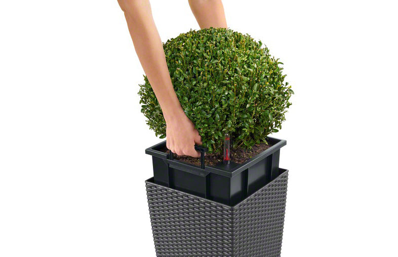 LECHUZA Topfpflanzer – 40 × 40 × 40 cm, 31 l – Kunststoff, Granit