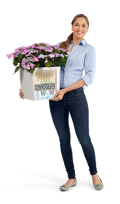 LECHUZA Topfpflanzer – 30 × 30 × 30 cm – Kunststoff, Braun, 1 Stück