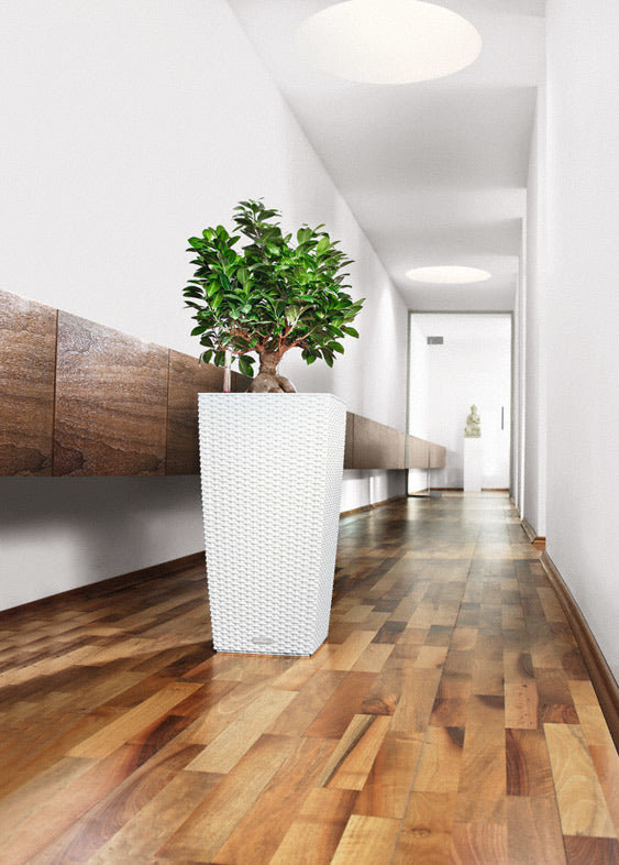 LECHUZA Cubico Cottage 30 Topfpflanzer – 30 × 56 × 30 cm – Kunststoff, Anthrazit
