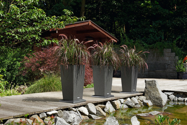 LECHUZA Blumenkübeluntersetzer – für Cubico 30 – Kunststoff, Anthrazit