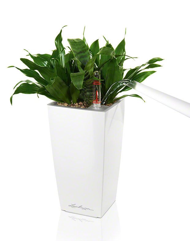 LECHUZA Mini Cubi Premium 9 Topfpflanzer – 9 × 18 × 9 cm – Kunststoff, weiss