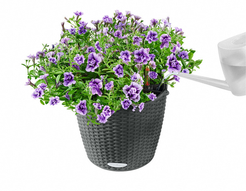 LECHUZA Nido Cottage Korb-Pflanzer – Ø 27 × 23 cm – Kunststoff, braun