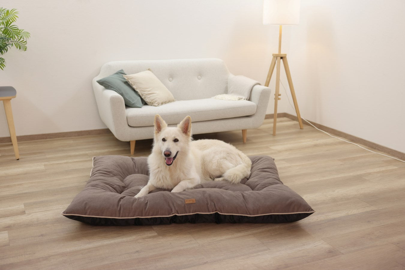 Kerbl Benno Hundekissen – 75 × 100 × 12 cm, Polyesterbezug, abnehmbarer Bezug, Anti-Rutsch-Basis, Braun