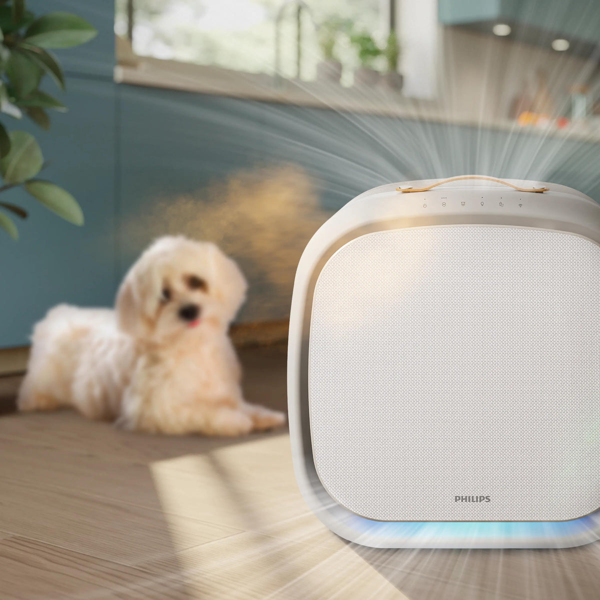 Philips Luftreiniger PureProtect Pet AC3360/11 – CADR 403 m³/h, bis 104 m², App-Steuerung, 52 dB