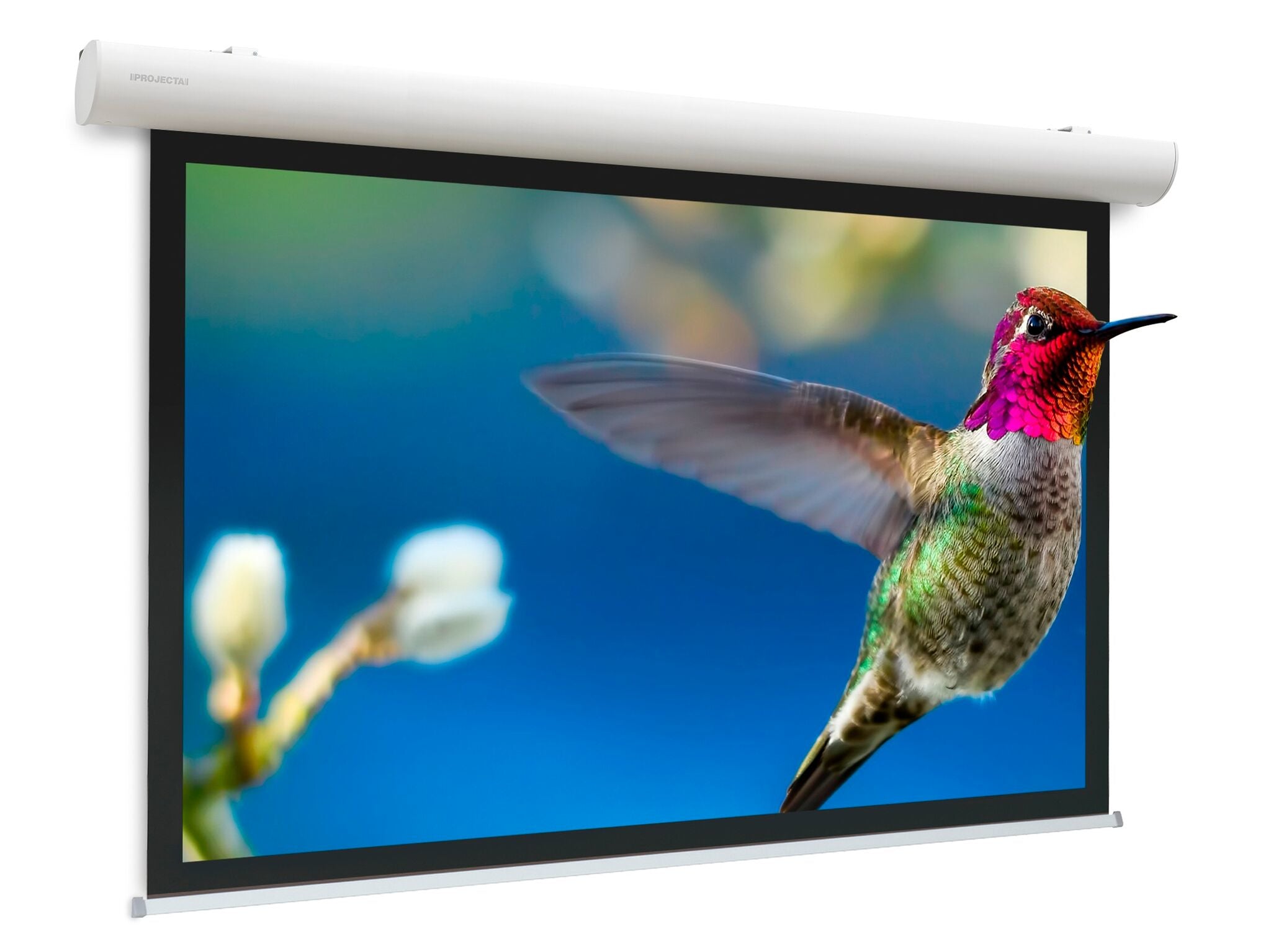 Da-Lite Elpro Concept – Elektrische Leinwand, 1:1, 220 × 220 cm (122,5")