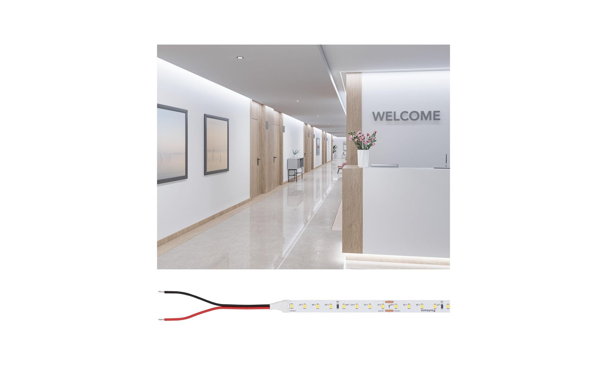 Paulmann LED-Strip 5 m – Kaltweiss 6500 K, 3950 lm, 30 W – IP20