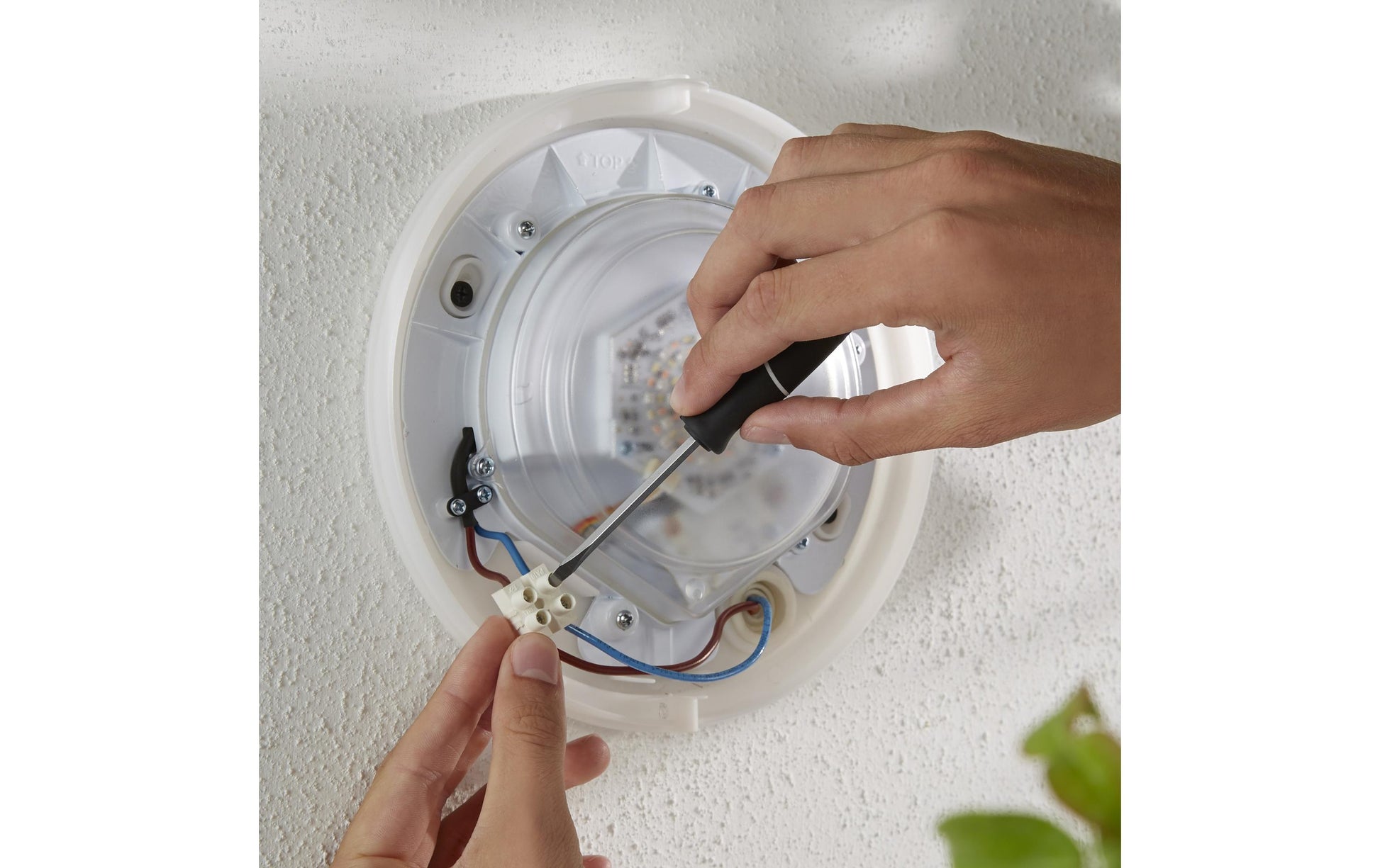 Philips by Signify Philips Hue Aussenwandleuchte – für Philips Hue (Hue Bridge erforderlich), dimmbar, Silber, Edelstahl