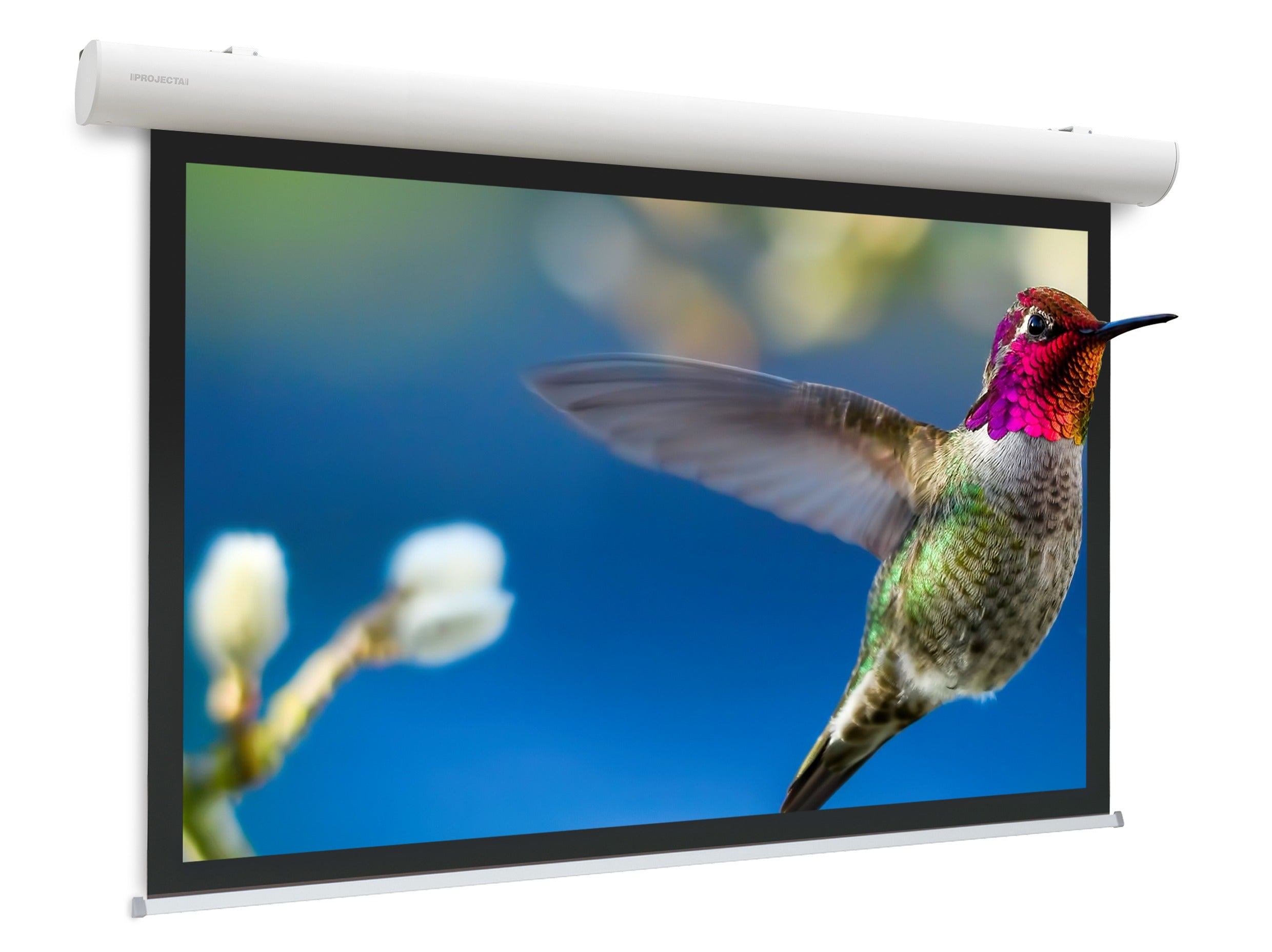 Da-Lite Elpro Concept RF – Elektrische Leinwand, 16:10, 270 × 169 cm (124,8")
