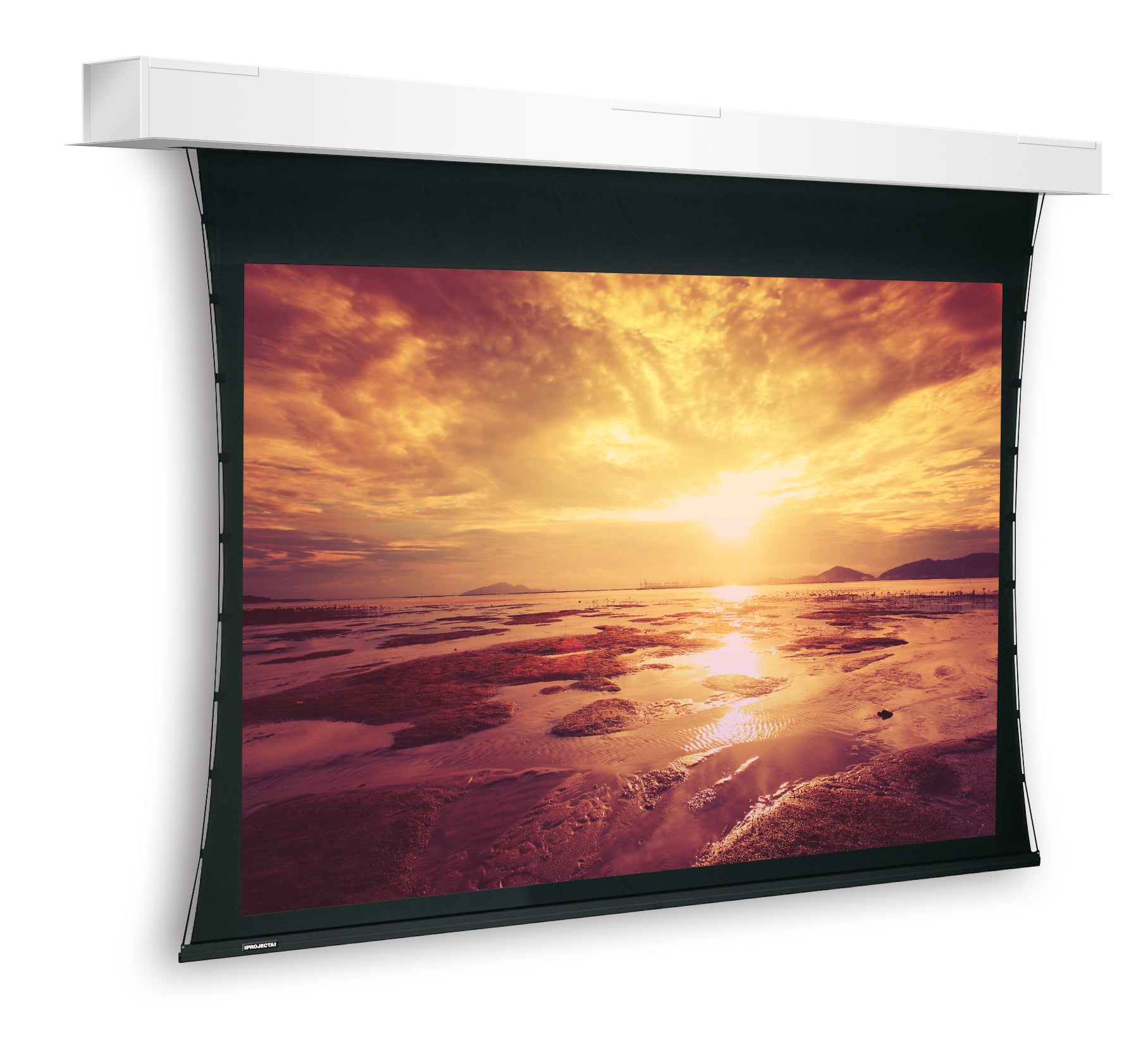 Da-Lite Descender Large – Elektrische Leinwand, 16:10, 450 × 285 cm (204,3″)