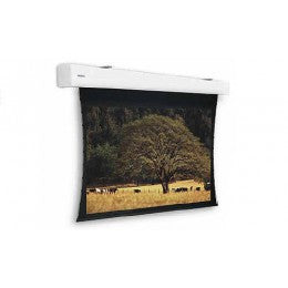 Da-Lite Tensioned Elpro Large Electrol – Manuelle Leinwand, 16:9, 390 × 219 cm (176″)