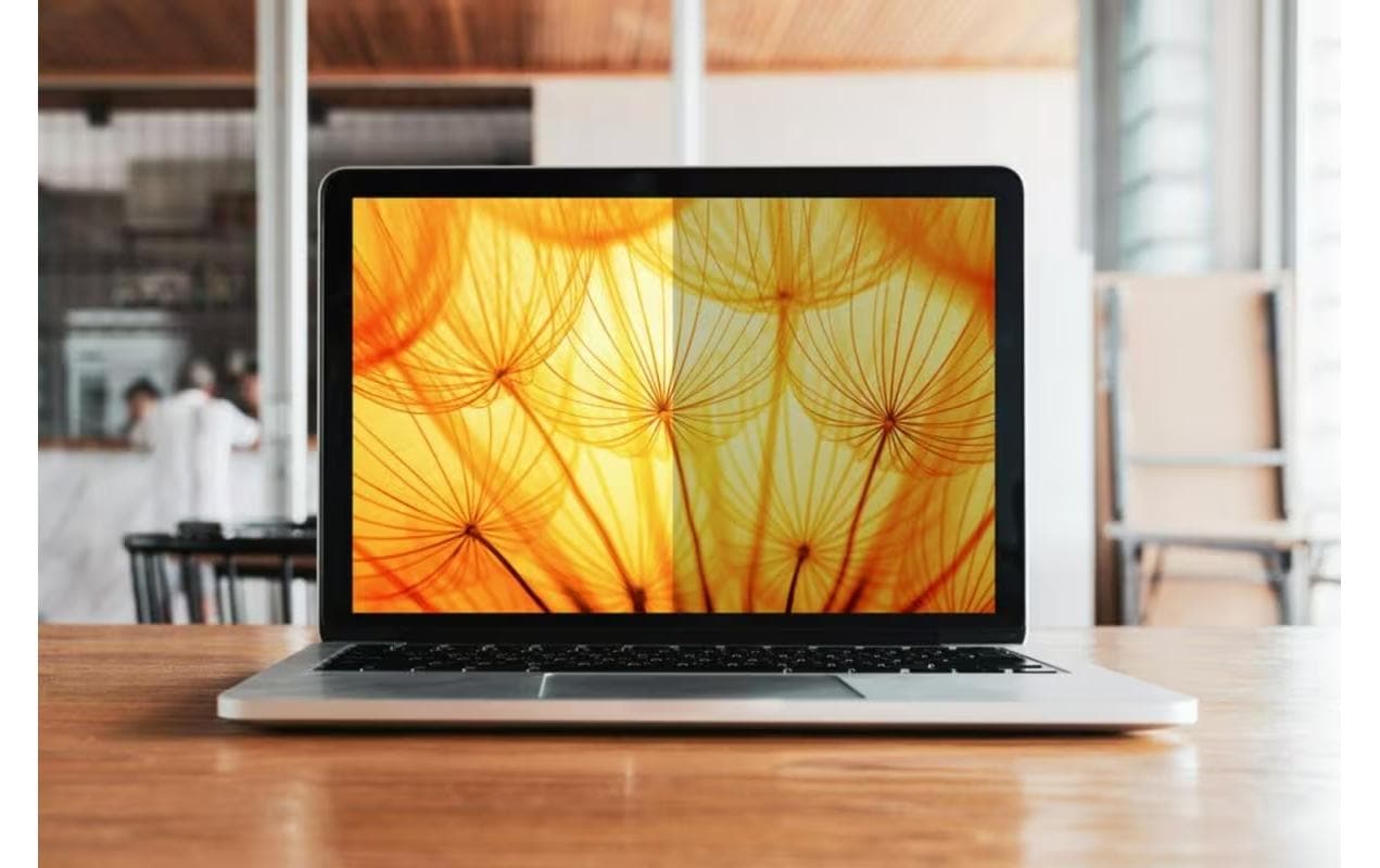 3M Displayschutz für 17,0" Laptop (16:10)