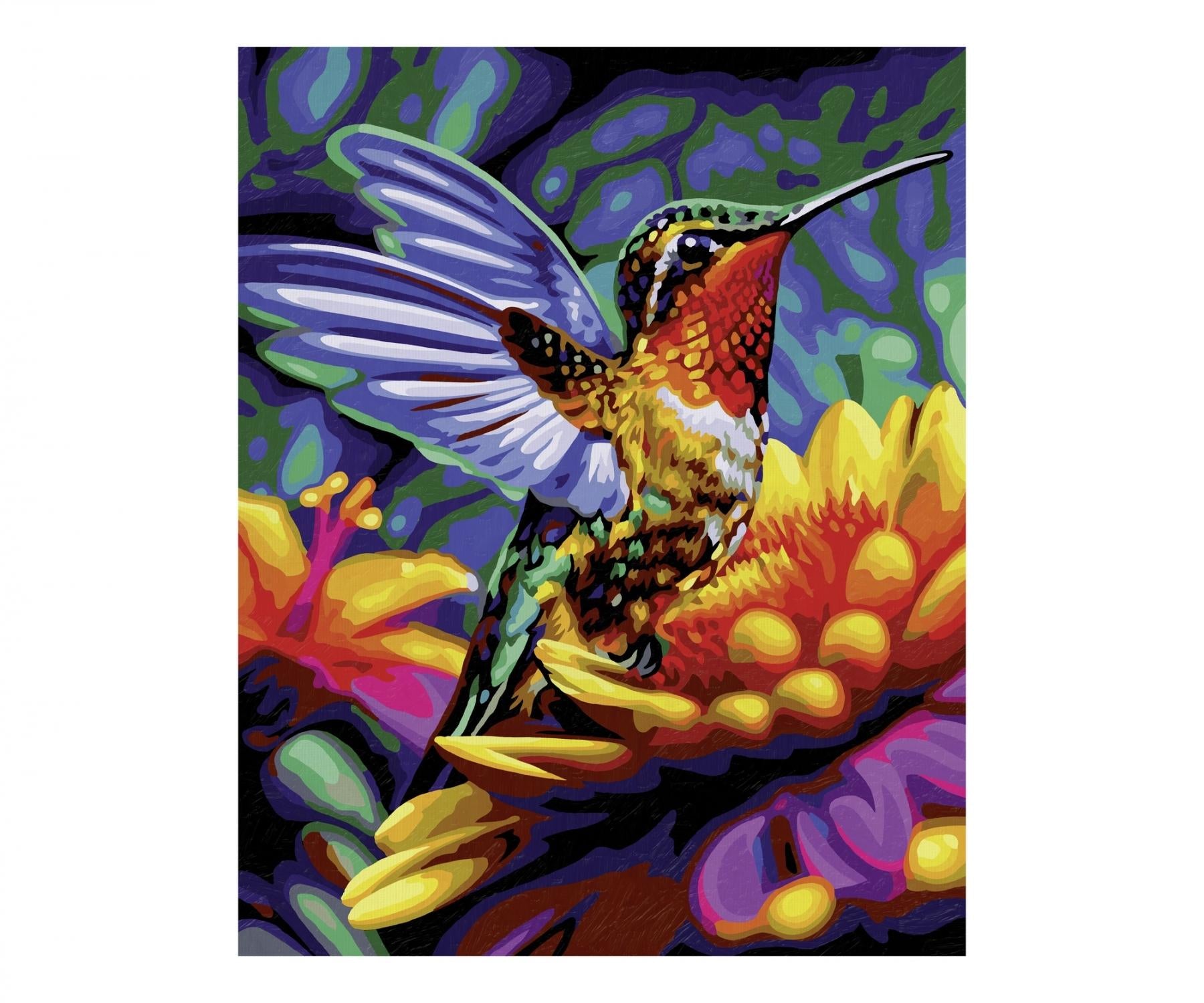 Schipper Malen-nach-Zahlen-Set Kolibri – 40 × 50 cm – 30 Farben – ab 14 Jahren