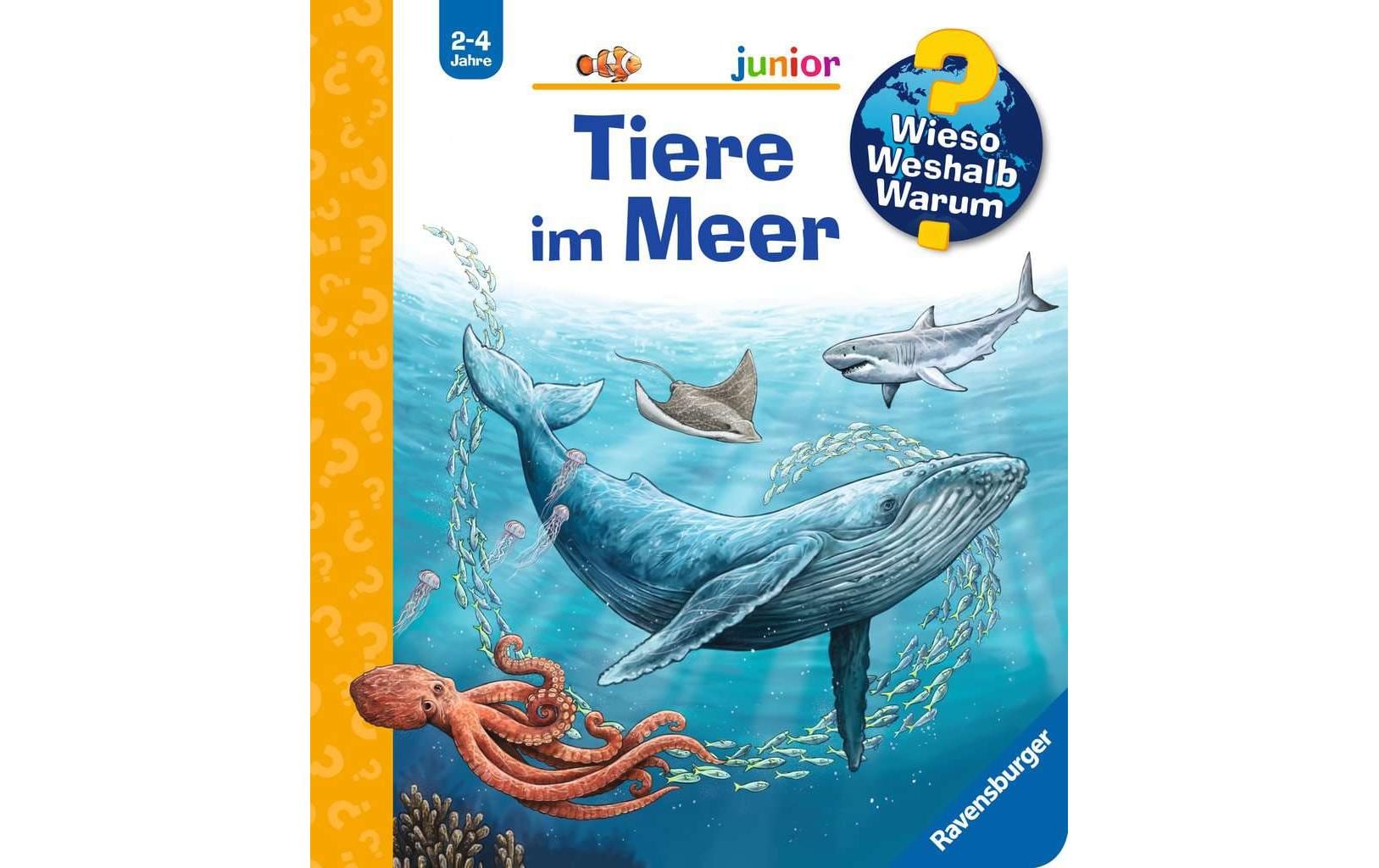 Ravensburger Buch – WWW: Tiere im Meer, Spiralbindung, 16 Seiten, Deutsch, 2–4 Jahre