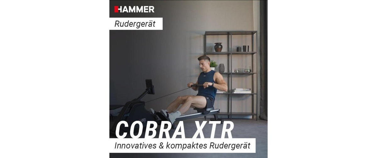 HAMMER Rudergerät Cobra XTR Plus II, 130 kg, 232 × 55 × 75 cm – Schwarz