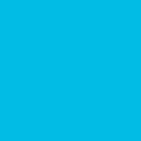 Papyrus Kopierpapier – A3, 120 g/m², Blau – für Inkjet/Laser/Kopierer – FSC – 250 Blatt